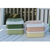 Sako Plastic Rio Pack Bento Lunch Box, Family Size
