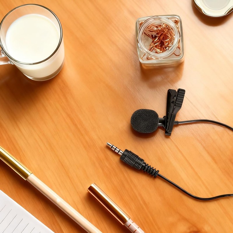 VAEIORP Mini Lavalier Lapel Collar Clip Mic Microphone Holder Handle