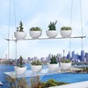ZerzSemp 2-Tier Acrylic Window Display Shelves – 16" Adjustable Clear