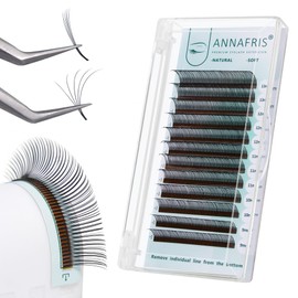 ANNAFRIS Eyelash Extensions Easy Fan 5D Flower Lash 0.07 C 11mm Individual Lash Extensions Premade Fans Lash Volume Eyelashes(Flora-5D 0.07C 11mm)