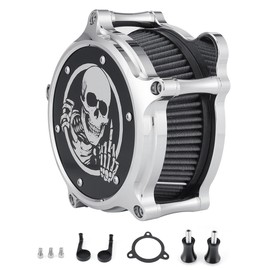 FIASRAC Skull Style Motorcycle Air Cleaner Kit Fit For Harley Touring Softail M8 2017-2024 CNC Aluminum High Flow Air Filter Replaceable Washable Filter Element (Chromed)