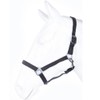 HKM by Reiterladen24 Basicline Headcollar Black Warmblood
