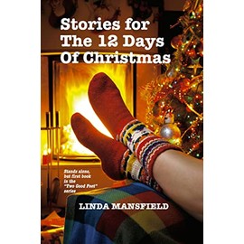 Stories for the 12 Days of Christmas (Paperback)