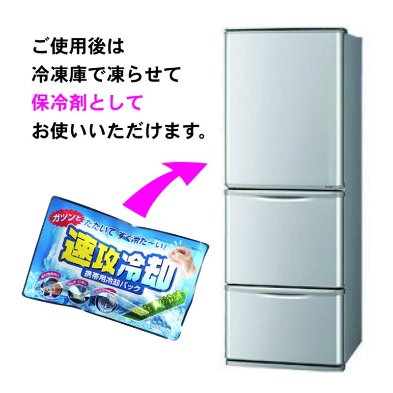 Kiyo Pyrethrum Rapid Cooling Portable Cooling Pack (5 Pieces), Insulated