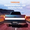 Tresound LED Tail Light for Dodge Ram 1500 2002-2006, Ram
