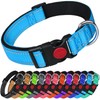 LARRYROO Reflective Dog Nylon Collar | Slide Lock Safety Buckle