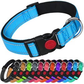 LARRYROO Reflective Dog Nylon Collar | Slide Lock Safety Buckle | Fully Adjustable | Soft Neoprene Padding (Sky Blue, Medium (35cm - 50cm Neck))