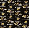 Baltimore Football Dog Bandana (Medium)