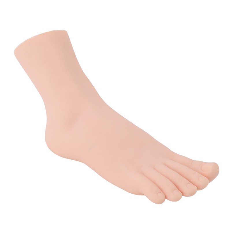 Female Right Foot Mannequin Simulated Feet Model Realistic Foot Model