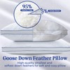 puredown Feather Down Pillows Queen Size Set of 2, Luxury