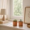 2-Pack Terracotta Plant Pots with Saucers, 3 Inch, 40-X-B-0