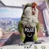 Bird Diaper Harness Flight Suit Clothes, Parrot Flight Suit with