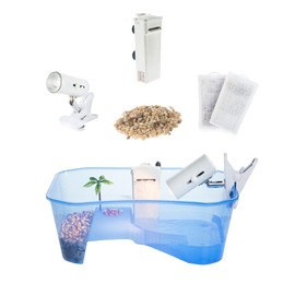 Turtle Tank Reptile Starter Kit Terrarium Includes Accessories with UV Basking Light Lamp + Water Filter + Rocks + Palm Tree - Aquarium, Habitat for Terrapin Turtles, Reptile Terrarium