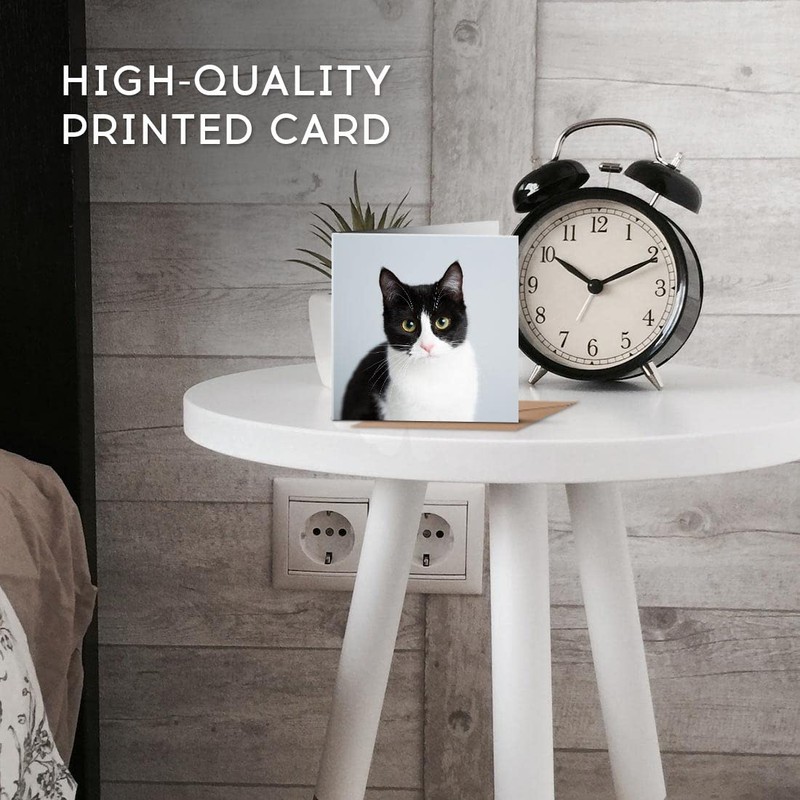 1 x Greeting Card Black & White Cat Kitten Pet