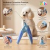 Fancy Pets Guillotina Cortauñas para Perros con Recipiente Recolector y