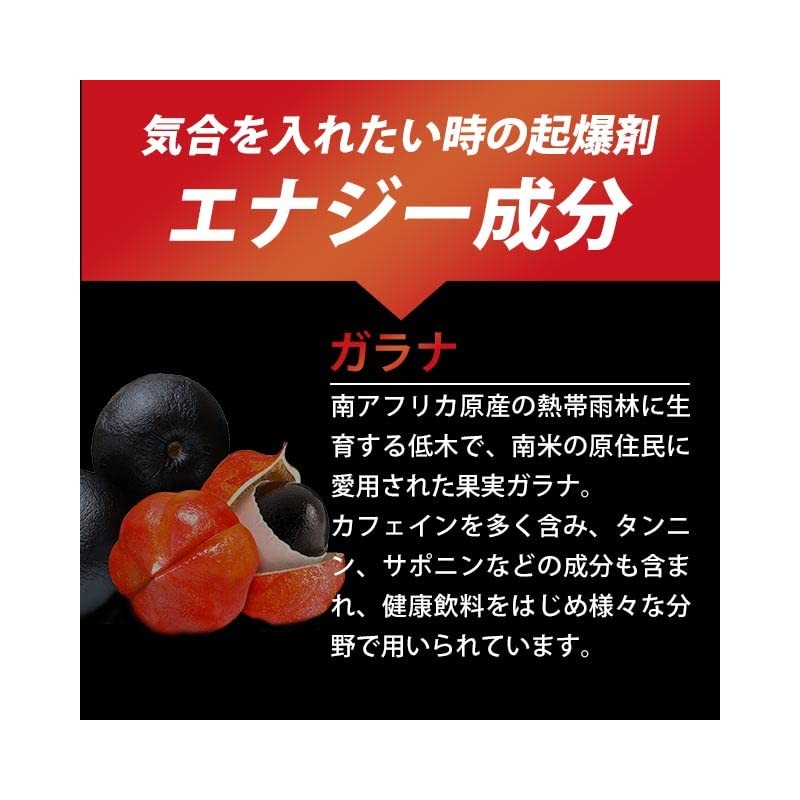 オーガランド (ogaland) ガラナチャージ (360粒 / 6個セット) サプリ カフェイン ガラナ アルギニン