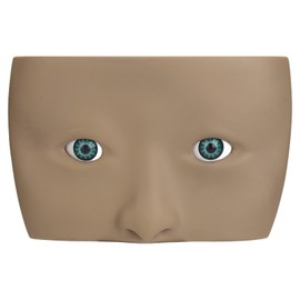 Makeup Practice Face Board 3D Realistic Eye Painting Practice Plastic Face Eye Mannequin Training Tool Dark Brown