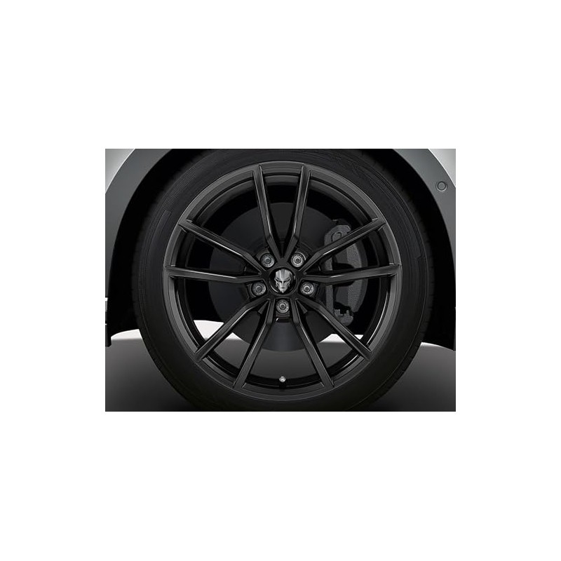 Biomar Labs® 4 x 60 mm Plastic Hub Caps Wheel