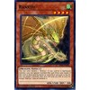 Yu-Gi-Oh! - Ranryu - RIRA-EN026 - Common - 1st Edition - Rising Rampage