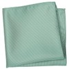 ZENXUS Solid Pocket Square for Men, 24 Eucalyptus, Adult