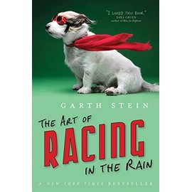 Art Of Racing In The Rain