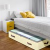 Budding Joy 6 Pack 90L Under bed Storage Containers Organizer