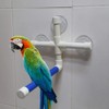 MAGT Budgie Perch, Bird Perch, Foldable Suction Cup, Parrot, Birds,