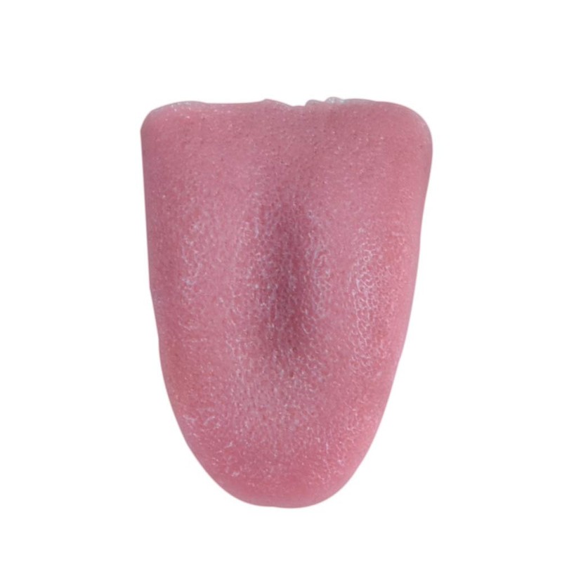 Magic: Real Tan, Scary Tongue, Ultra Realistic, Fake Item, Close-Up