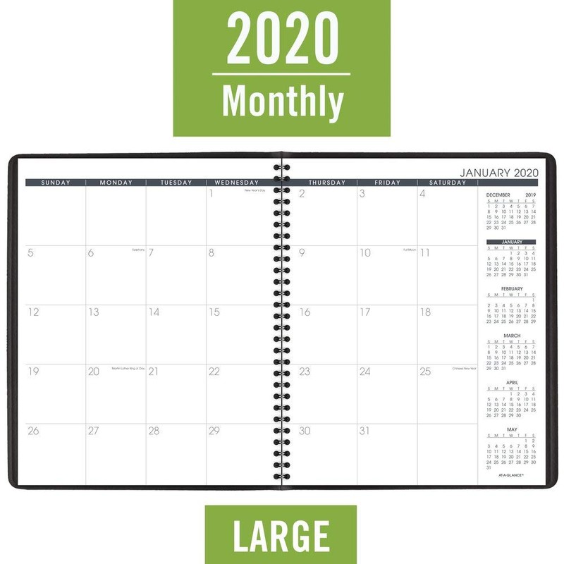 2020 Monthly Planner by AT-A-GLANCE, 9" x 11", Large, 15