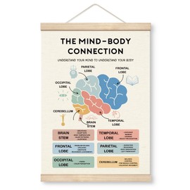 Therapy Decorations, The Mind-Body Connection Poster, Canvas Poster Wood Hanger, Brain Function Educational Resources, Psychologist Office Decor, Mental Health Poster for School Home Classroom Decor