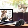 Aerbee Remote Control Rat Toy, Electronic RC Mouse Toy Emulation