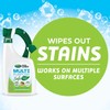 Scotts Outdoor Cleaner Multi Purpose Formula: Ready-to-Spray, Bleach-Free, Use on
