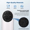 PUREPLUS 5 Micron 20" x 4.5" RFN20BB-C Whole House Granular