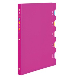 Maruman F116-08 Loose Leaf Binder B5 Five Chart, 26 Holes, Pink