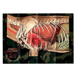 EthiKill  Life Size Deer Vitals 2-Sided Paper Range Target - Realistic Anatomy 5-Pack