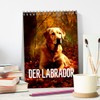 Der Labrador (Tischkalender 2026 DIN A5 hoch), CALVENDO Monatskalender