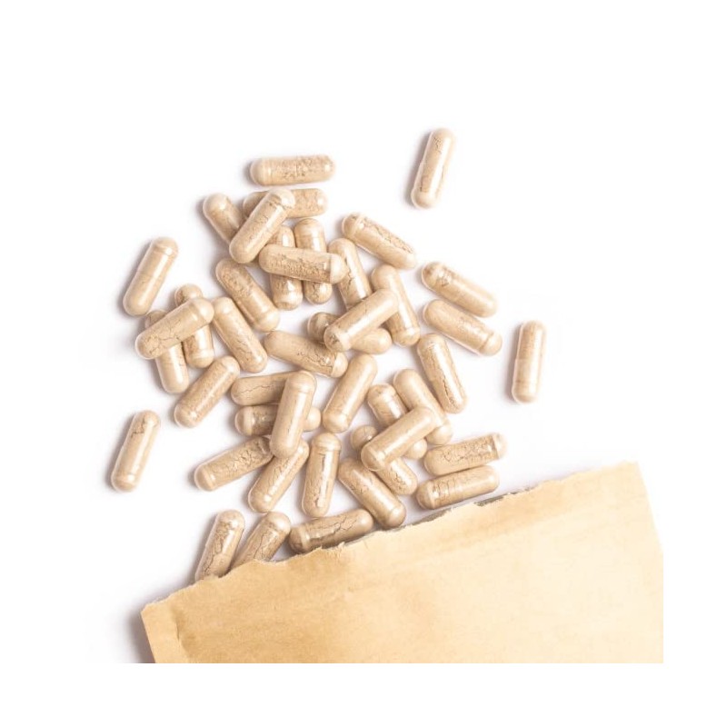 Terra Elements Organic Amalaki Capsules (400 mg, Pack of 150)