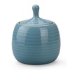 Amoysanli Kitchen Canisters Vintage Ceramic Food Storage Jar with Airtight