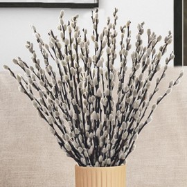 Oning 40 tallos de sauce capricho natural seco preservado para jarrón - 16' de sauce con flores blancas, ramas de sauce para Pascua, boda, fiesta en casa, hotel, chimenea, decoración de jardín