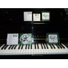 23 Memorable Melodies For Player Pianos using CD, Floppy Disk,
