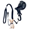 S.fields.inc Trimming Shower Leash Suction Cup Type Grooming Shampoo Bathing