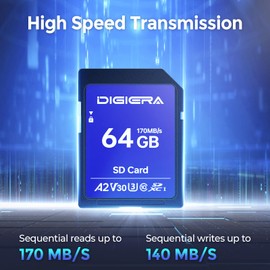 DIGIERA 64GB LS100 SDXC UHS-I Memory Card - up to 170MB/s, C10, U3, V30, 4K UHD, SD Card for Computers, Digital Cameras, Home Theatre Devices, Car Navigation Systems (1 Pack)