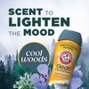 ARM & HAMMER Clean Scentsations In-Wash Scent Booster, Cool Woods