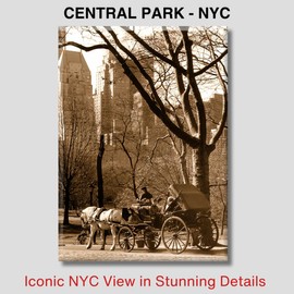 Central Park NYC Magnet – Horse Carriage Ride in Sepia – 3.5x2.5 Inch Metal Souvenir Fridge Magnet – Vintage New York Gift by ArtMalore
