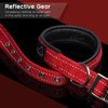 PETBABA Dog Collar, Leather, Dog Collar, Medium Dog, Large Dog,