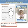 NW Barn Owl Pellet Kit for Kids Includes Pick &
