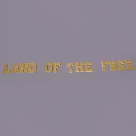 Anderson's Land of The Free Letters Parade Float Decorating Kit, Patriotic Decor, 4th of July, Independence Day, Parade Float Decorations For Trailer, 4th Of July Parade, Patriotic Decorations