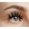 VieVie False Lashes Strip Fake Eyelashes Natural to Dramatic Look