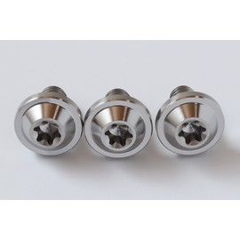 A.N.S Titanium License Plate Bolts M6 / 10mm Set of 3 with Washers and Tools (Silver)