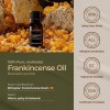 Gya Labs Pure Frankincense Essential Oil For Pain - 100%